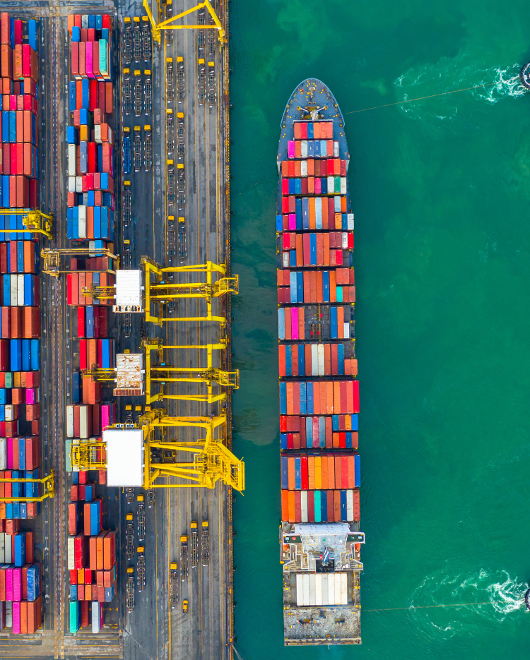 Import & Export Solutions