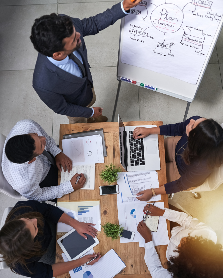 Trade Consulting & Business Solutions